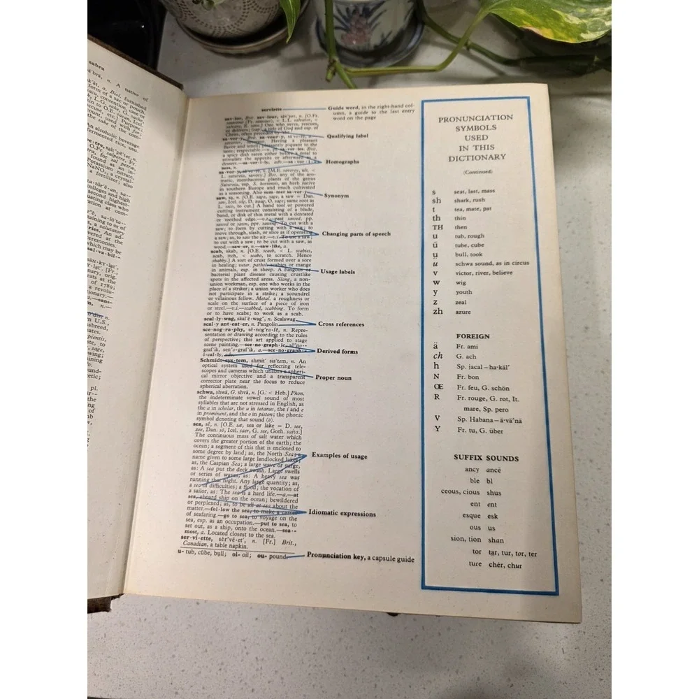 The Living Webster Encyclopedic Dictionary of the English Language 1981 VTG HC